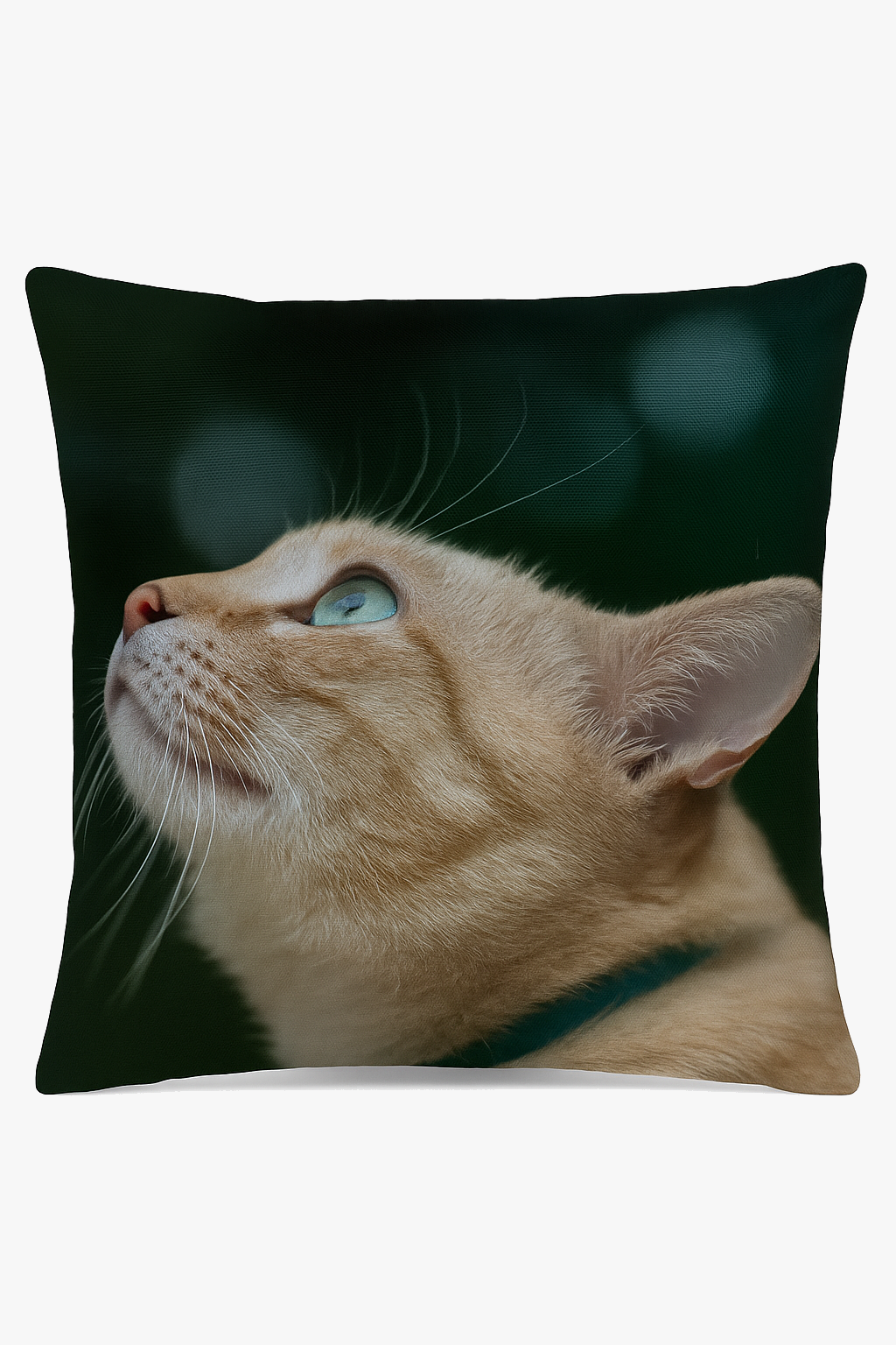 housse de coussin décorative avec motif chat mignon