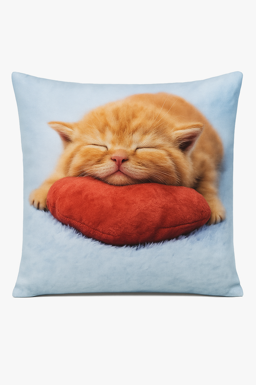 housse-de-coussin-motif-chat-mignon-pour-d-coration-int-rieure-0.png