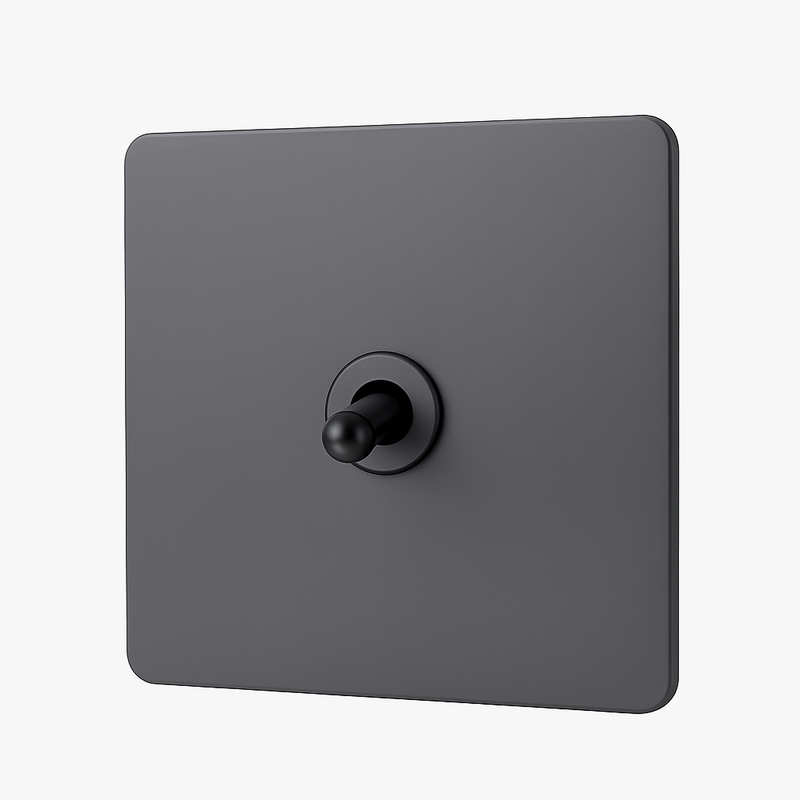 interrupteur-simple-1-voie-en-acier-gris-fonc-mat-bords-arrondis-0.png