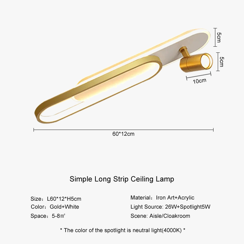 lampe-de-plafond-moderne-leds-avec-projecteur-d-coratif-7.png