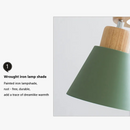 lampe-suspension-cr-ative-nordique-oiseau-5.png