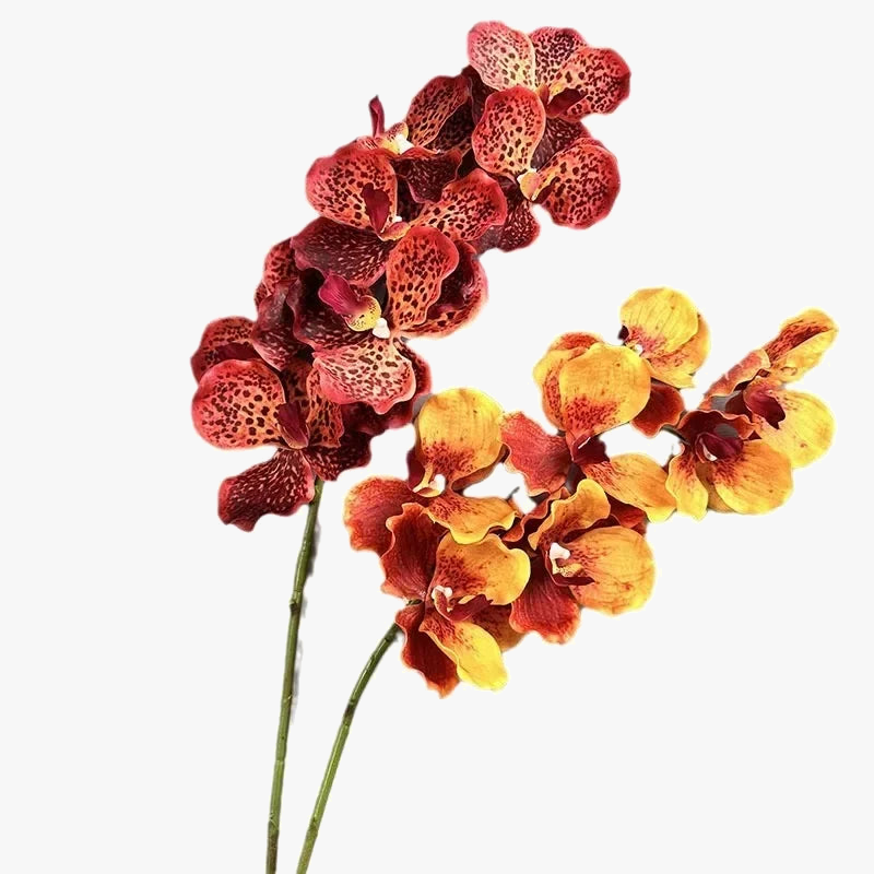 lot de 2 orchidées artificielles vanda pour décoration intérieure
