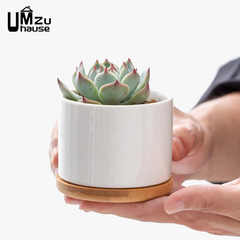 lot de 2 pots en céramique avec drainage pour plantes d'intérieur