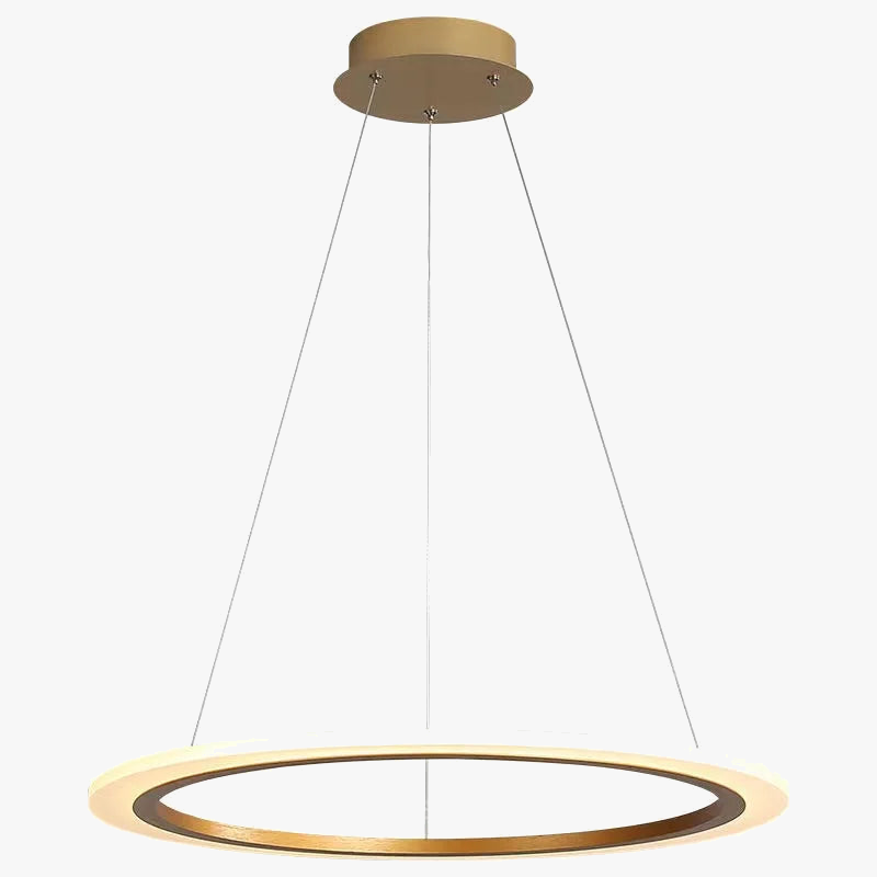 lustre circulaire minimaliste moderne avec éclairage led d'apprentissage