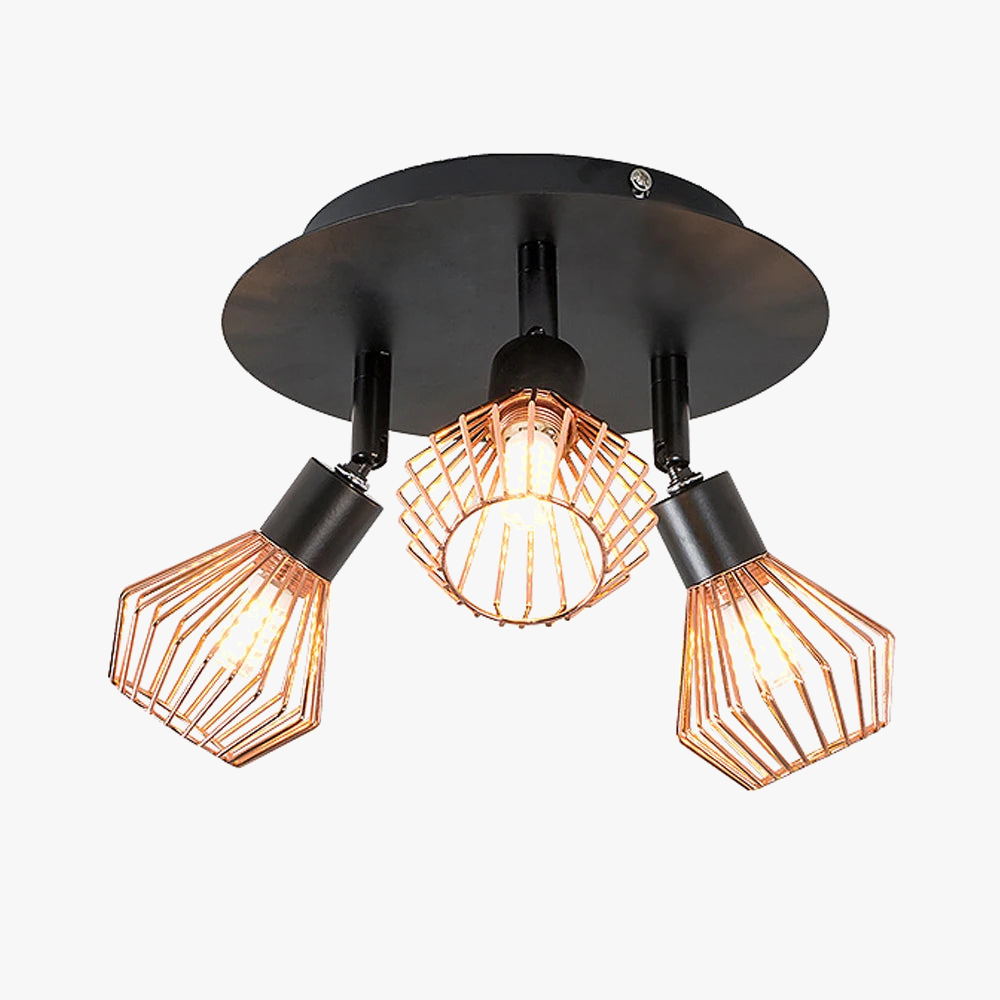 Lustre orientable
