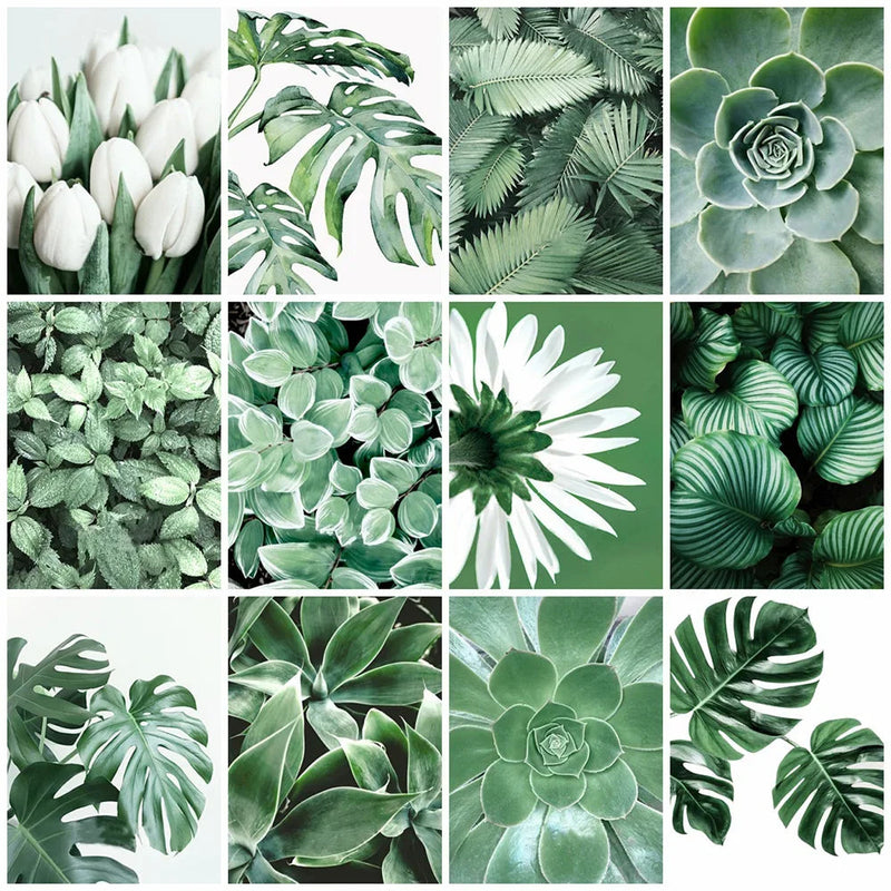 peinture-diamant-5d-plante-verte-broderie-compl-te-mosa-que-d-corative-0.png