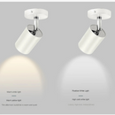 plafonnier-t-te-rotative-salon-salle-manger-vestiaire-2.png