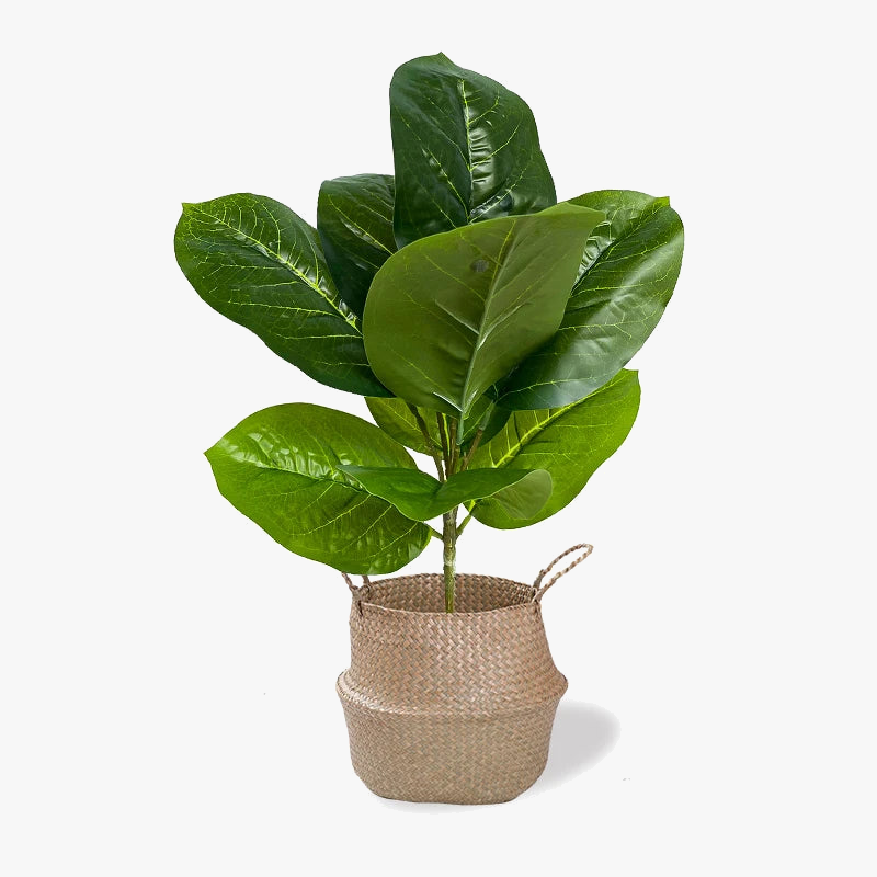 plantes artificielles branche faux ficus en caoutchouc pour décoration intérieure