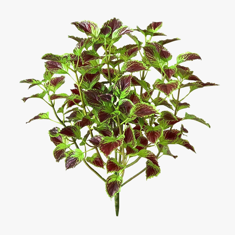 plantes-artificielles-d-eucalyptus-et-menthe-tropicale-pour-d-coration-int-rieur-7.png