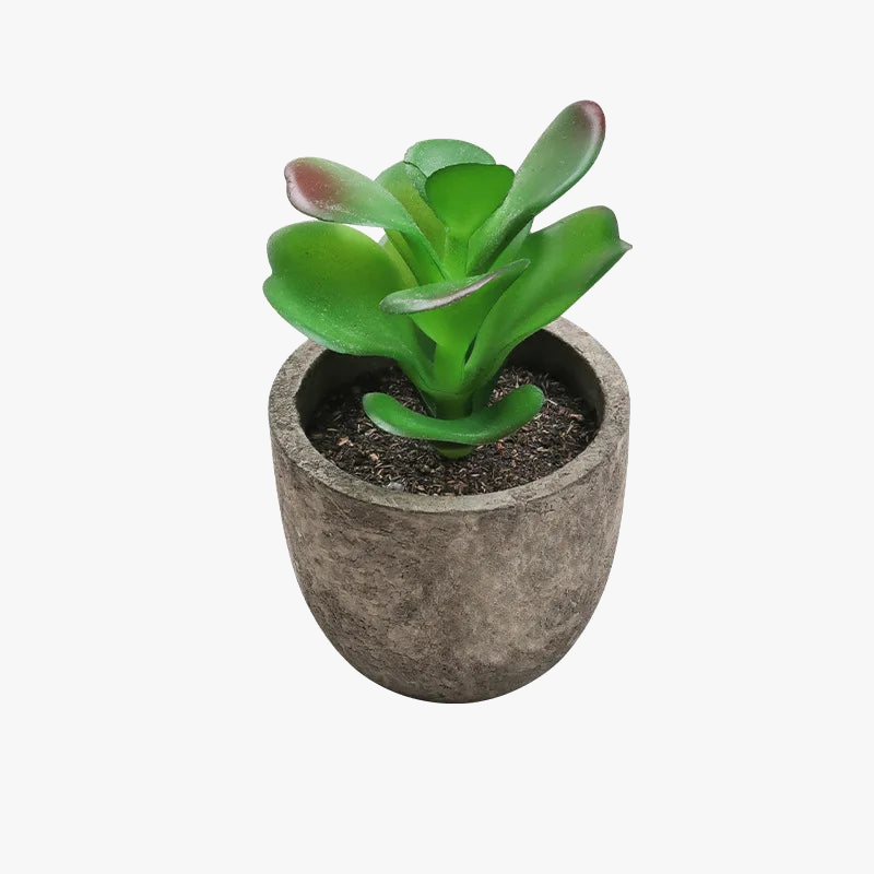 plantes succulentes artificielles pour décoration intérieure moderne
