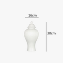 pot-en-c-ramique-d-coratif-pour-th-et-gingembre-avec-couvercle-6.png