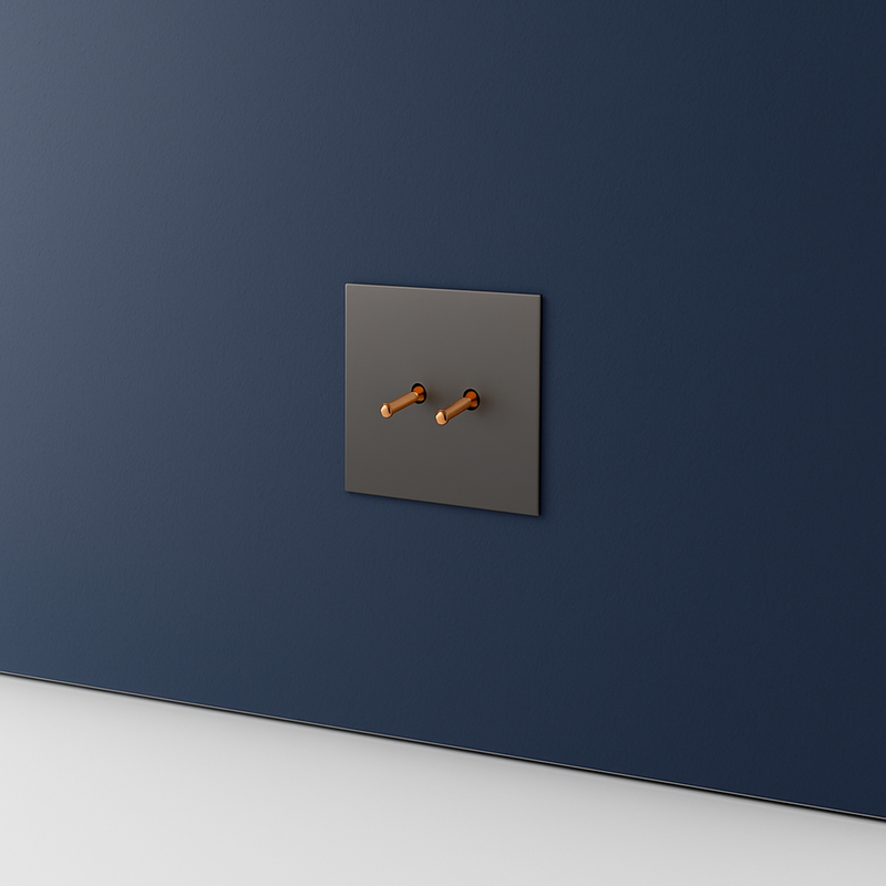 Prise électrique double en acier gris brossé