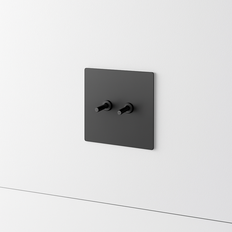 Prise électrique double RJ45 en acier gris foncé brossé