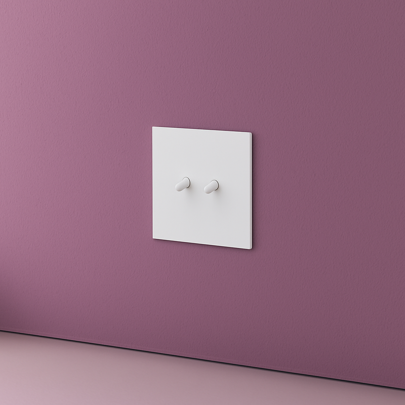 Prise électrique en acier blanc mat