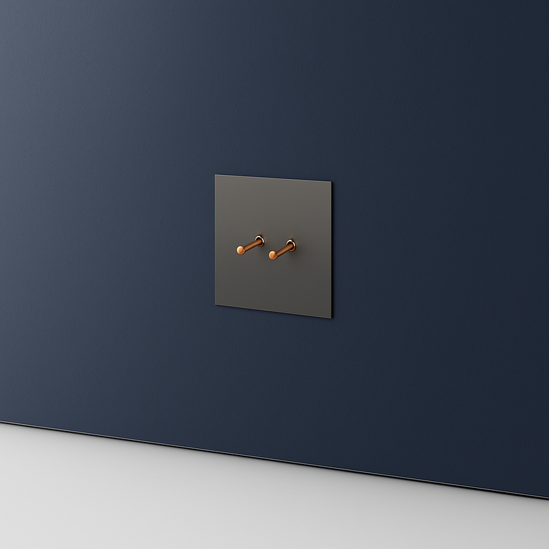 Prise électrique en acier gris brossé