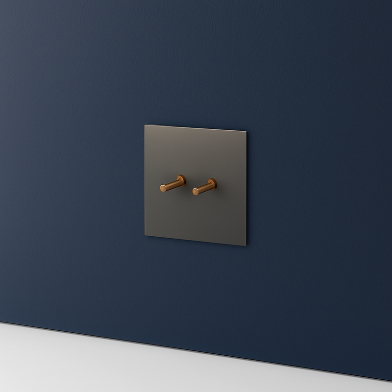 Prise électrique (Europe) en acier gris brossé