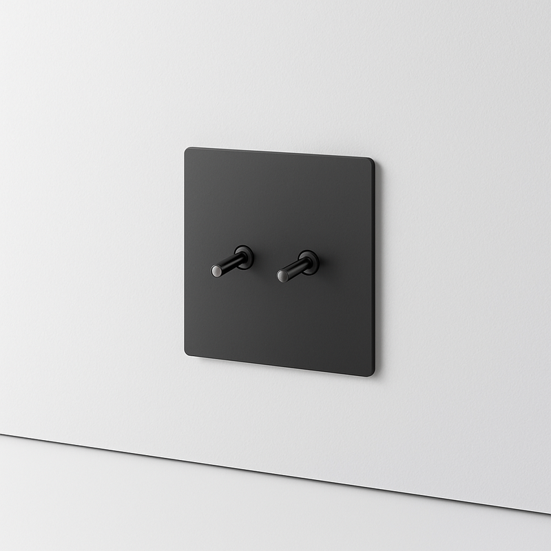 Prise électrique (Europe) en acier gris foncé brossé