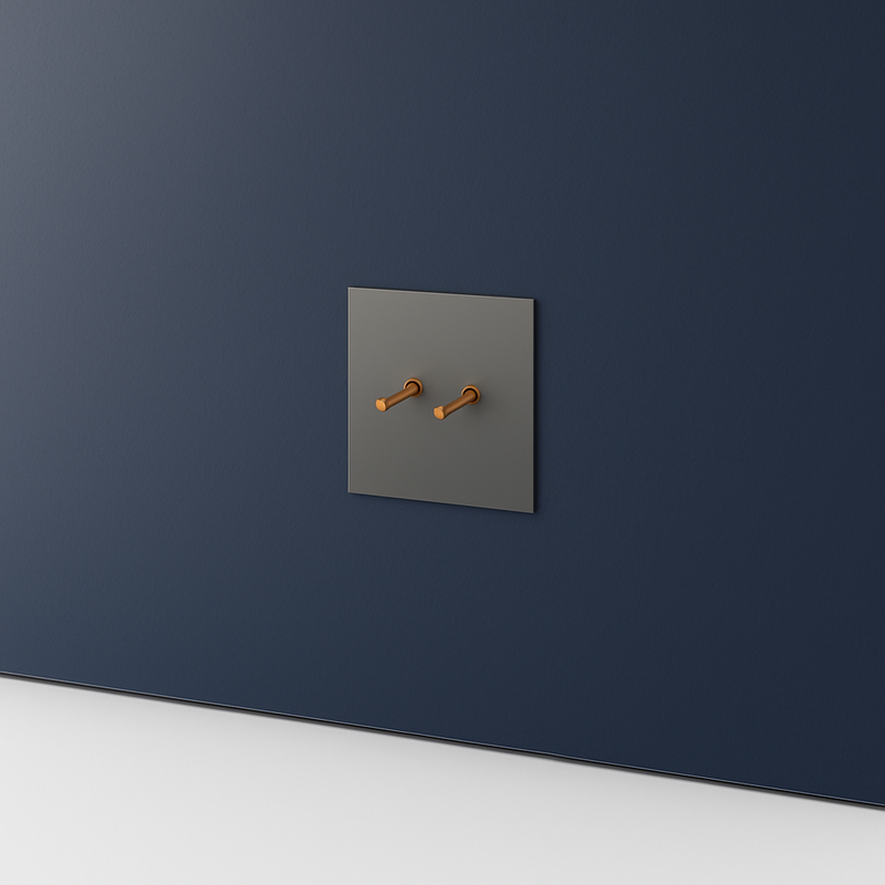 Prise RJ45 en acier gris brossé