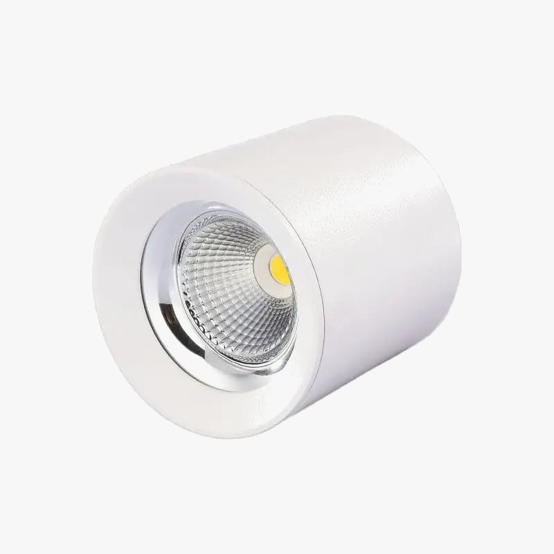 qiuboss-spot-led-cylindre-intensit-variable-pour-clairage-de-plafond-2.png