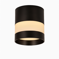 Spot design LED rond avec bande lumineuse Loft