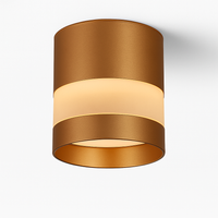 Spot design LED rond avec bande lumineuse Loft