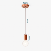 Suspension lampara de techo colgante éclairage suspendu moderne Cage en fer Loft cuisine salon suspension E27 or Rose