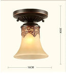 verre-europe-vintage-led-plafonnier-clairage-la-maison-salon-luminaires-luminaire-lampara-de-techo-1.png