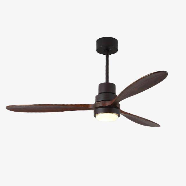 Ventilateur de plafond LED Modern à base colorée