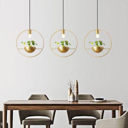 Suspension LED design cercle avec boule à plante Ring - vue 5 sur 6